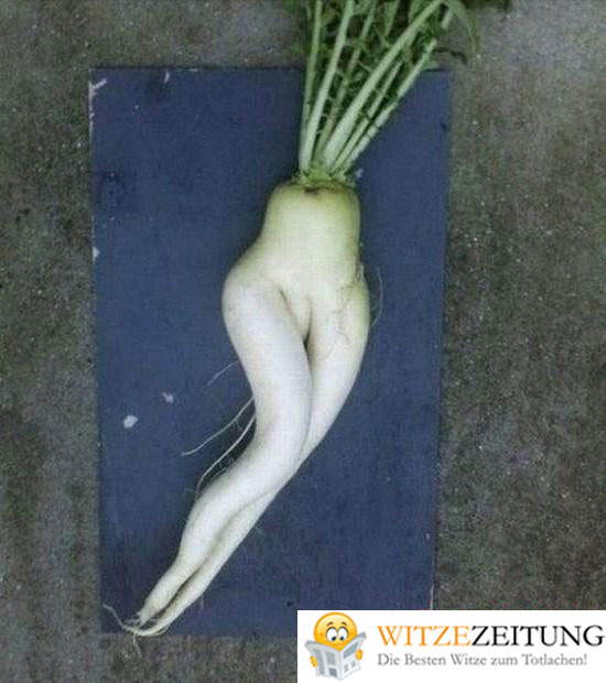 Gemüse Witze