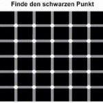 Finde den schwarzen Punkt