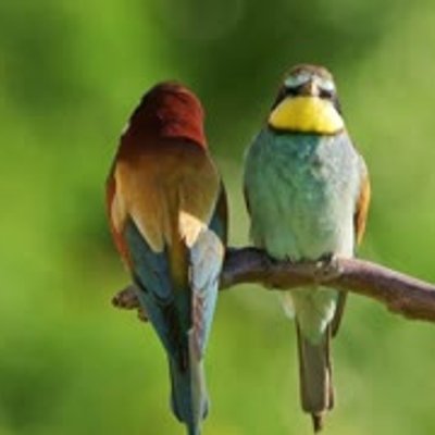 Ein humorvolles Gespräch über Namen und Absichten