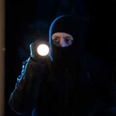 Der Papagei und der Einbrecher