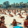 Quallen Seeigel Strand