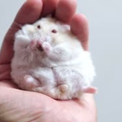 Wenn Du Dich manchmal klein und unnütz fühlst, denk daran