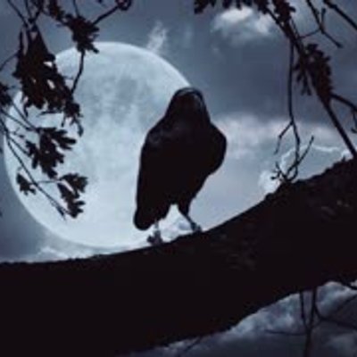 Ich habe letzte Nacht Schreie gehört…