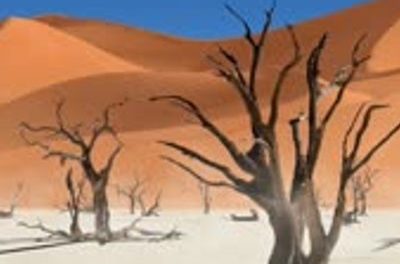 Was ist braun, klebrig und läuft durch die Wüste?