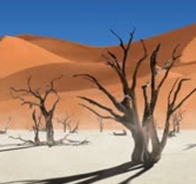 Was ist braun, klebrig und läuft durch die Wüste?