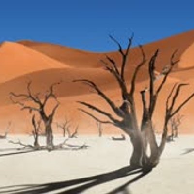 Was ist braun, klebrig und läuft durch die Wüste?