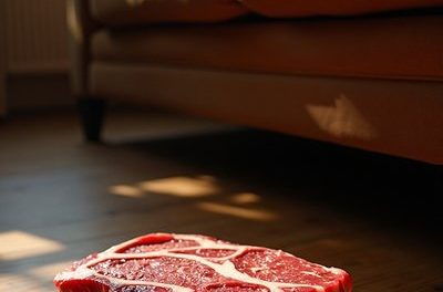 Was macht ein Steak unter dem Sofa?